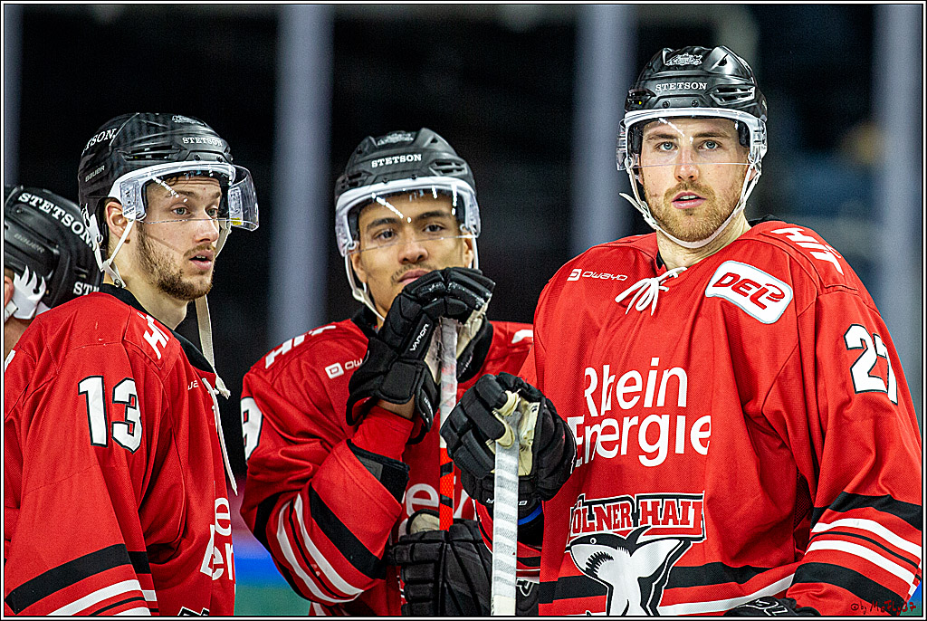 DEL; Koelner Haie - ERC Ingolstadt; Koeln, 15.12.2019